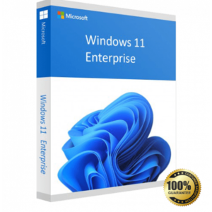 Microsoft Windows 11 Enterprise