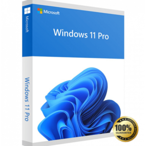 Windows 11 Pro 32/64 bit