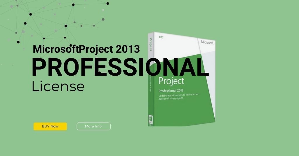 Microsoft Project 2013 Professional